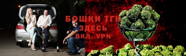альфа пвп Елизово