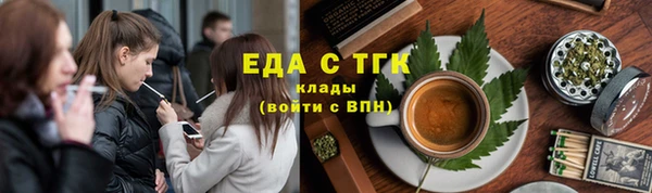 шишки Ельня