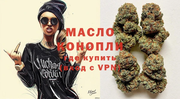 шишки Ельня