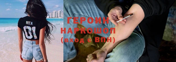 шишки Ельня