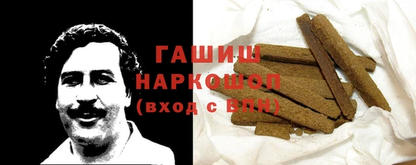 шишки Ельня