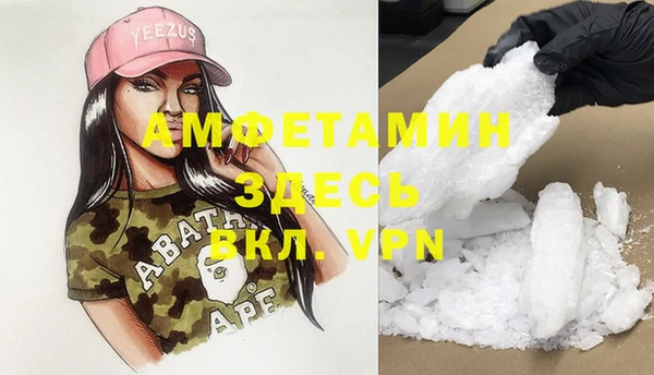 шишки Ельня