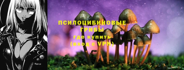 круглые Заводоуковск