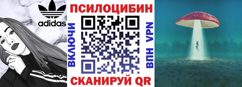 Псилоцибиновые грибы мицелий  Купить закладки  Тула 